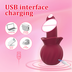 Kleines weibliches Sexspielzeug in Form einer Rose, G-Punkt-Vibrator für Frauen mit 10 Vibrations- und französischen Kussmodi, magnetisch betrieben. - Product Image 6