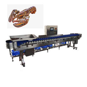 ماكينة تصنيف أسماك المياه العذبة المخصصة بأفضل جودة - Product Image 4