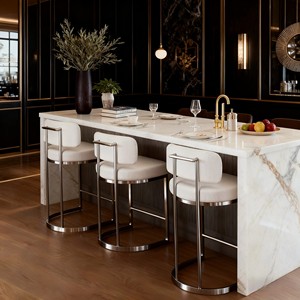 Silla <span class=keywords><strong>de</strong></span> Bar para Restaurante, Mesa <span class=keywords><strong>de</strong></span> Isla <span class=keywords><strong>de</strong></span> Acero Inoxidable, <span class=keywords><strong>Taburete</strong></span> Alto Minimalista Moderno <span class=keywords><strong>de</strong></span> Diseño, <span class=keywords><strong>Respaldo</strong></span> para Recepción - Product Image 3
