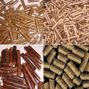 <span class=keywords><strong>Presse</strong></span> à <span class=keywords><strong>granulés</strong></span> industrielle à haut rendement 300-500 kg/h matrice plate robuste avec composant de moteur à noyau à haute productivité - Product Image 6