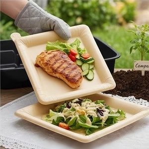 Piatti per Feste all'Aperto, Piatti Biodegradabili Monouso in PEEL PLATE, per Uso Alimentare, Antiaderenti e Impermeabili per Ristoranti - Product Image 2
