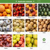 Blauwe bes, zure kersen, fruit, industriële tomaat, ui, wortel, aardappel, hoog rendement SUS304 sorteermachine voor maatselectie en wassen
