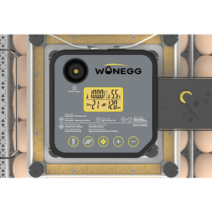 Larga vida útil 2025 WONEGG días de incubación pantalla 48 huevos incubadora bandeja de huevos multifuncional adecuada para diferentes huevos - Product Image 5