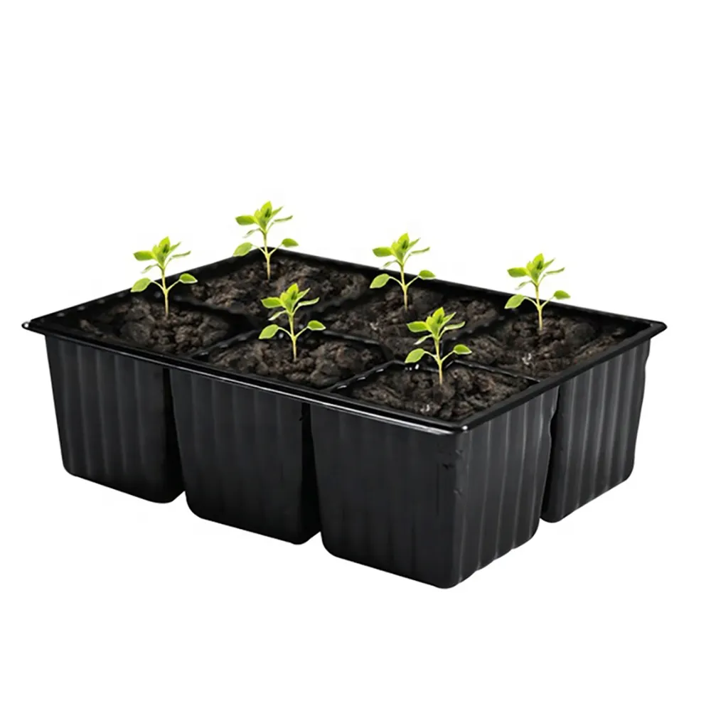 묘목 재배를위한 VERTAK 2*3 셀 사각형 식물 트레이 PE 재료 식물 재배 트레이