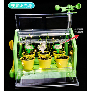 Stelo che coltiva il labirinto di piante giocattolo fai da te che piantano la stazione meteorologica della stanza del sole sperimenta esperimenti scientifici - Product Image 4