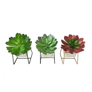 Suculentas Artificiales Realistas para Floristas, Echeveria y Flores de Plástico Duradero, Elevan Ramos y Centros de Mesa - Product Image 4