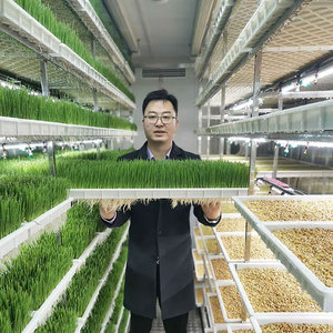 Contenedor de 20 pies para Agricultura Inteligente, Sistema de Cultivo Vertical Hidropónico de 8 Niveles para Microgreens, Controlado por PLC, Sistema Automático de Fertilización, 1 Año - Product Image 5