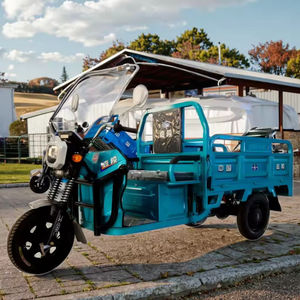 Tricycle Kargo Listrik Berkualitas Tinggi 60V 800W 3 Roda Terbuka dengan Pelat Baja dan Kapasitas Muatan 400kg untuk Penggunaan Pertanian - Product Image 2