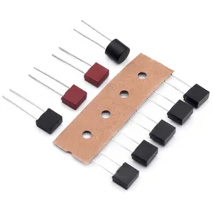 Fusible Micro Subminiatura rojo de plomo Radial cuadrado FMS TMS montado en PCB retraso de tiempo de acción rápida 50mA 100mA 200mA 2A 5A 8A 10A 250V