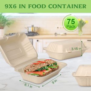 Compostable vỏ sò đưa ra thực phẩm container vỏ sò mía dùng một lần bã mía thực phẩm container 9*6 vỏ sò - Product Image 6