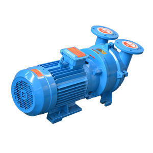 BOYUAN Manufacturer 2BV Series 2BV5121 Horizontal Ring <b>Vacuum</b> <b>Pump</b> 0.86m/min Energy Saving ISO9001 Certified - Product Image 2