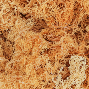 Seamoss seca de Vietnam | RONG SUN | Musgo de mar 100% natural y orgánico - Product Image 1