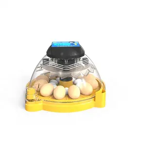 Bandeja de ovos da incubadora, bandeja automática completa de ovos com 12 peças