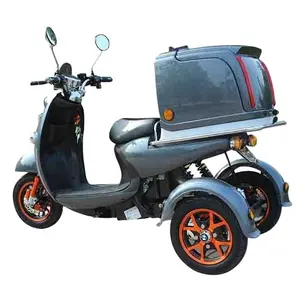 뜨거운 1000w 3 휠 전동 세발 판매 필리핀 전기 오토바이 전기 스쿠터 전기 tricycles 성인 판매