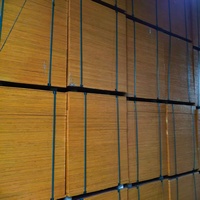 Tablero de Encofrado de Álamo Fenólico Moderno de Primera Clase E1, Ecológico, Antidesgaste, de 12/15/18mm, para Construcción