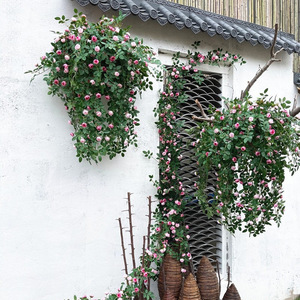Décoration murale en fleurs de soie artificielles Angus, en forme de vigne de fruits, pour mariage, maison, plafond et décoration murale - Product Image 1