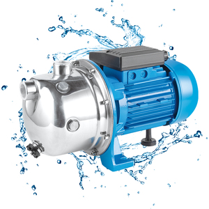 Bomba de agua autocebante de 220V de cabezal alto, bomba de refuerzo de chorro de acero inoxidable doméstico, bomba de agua limpia, precio de Motor eléctrico, bombas agrícolas - Product Image 4