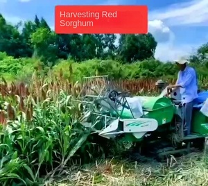 Moissonneuse-batteuse de riz paddy haute capacité batteuse de récolte de grains de blé faucheuse de soja - Product Image 5
