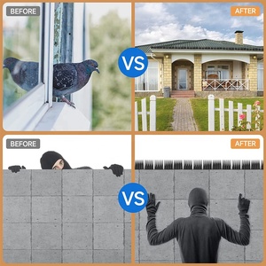Venta al por mayor de fábrica Anti-Climb <span class=keywords><strong>Bird</strong></span> Pigeon Spikes Fence Eficaz para el hogar Jardín Techo Balcón Control de plagas de insectos - Product Image 3