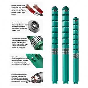 Bomba Sumergible Eléctrica Trifásica Vertical para Pozos de Agua de 4, 2 y 3.5 Pulgadas para Riego Agrícola - Product Image 2