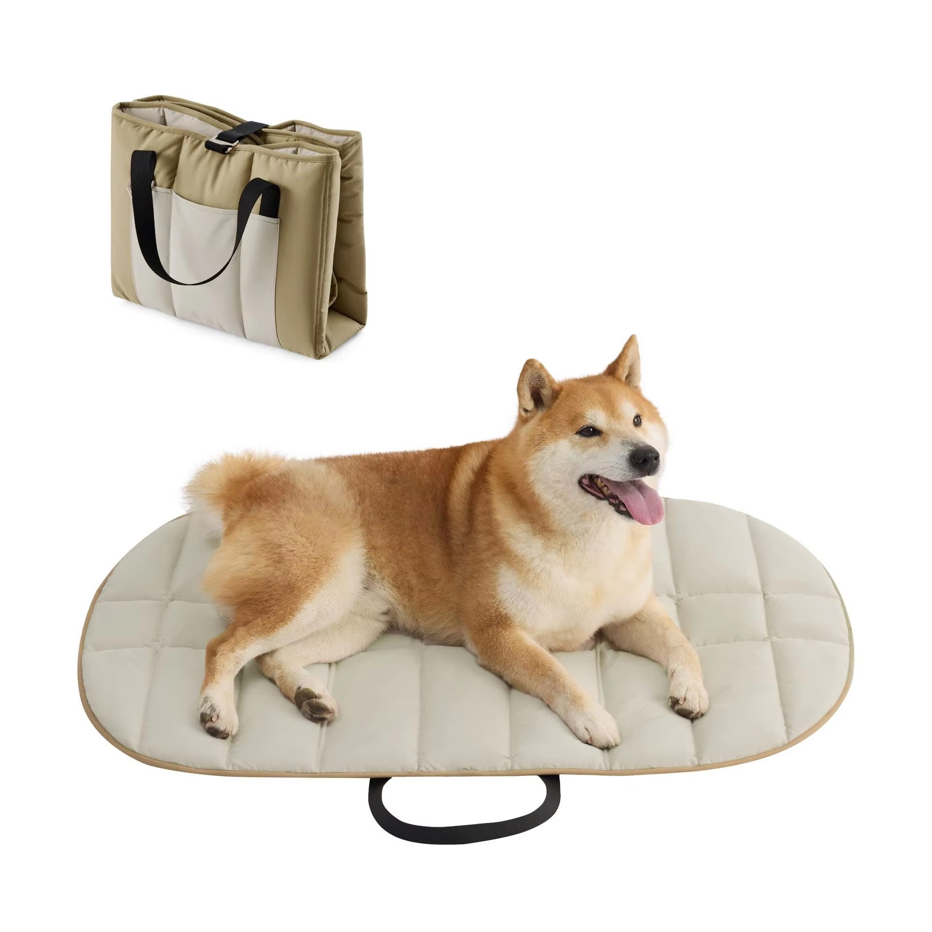 Kaki