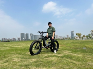 Vélo de montagne électrique à pneus larges personnalisable 1000W Bafang Mid Drive 48V 17.4Ah, suspension intégrale, tout-terrain, 26 pouces - Product Image 6