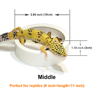 Plat de nourriture en céramique pour <span class=keywords><strong>Reptile</strong></span>, bol d'alimentation à eau de lézard pour reptiles - Product Image 4