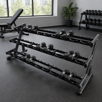 Rak Dumbbell Komersial Dua Tingkat untuk 20 Pasang, Penyangga Penyimpanan Beban Logam untuk Latihan Kebugaran di Dalam Ruangan