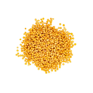 Graines de moutarde jaune indienne naturelle entières, épice de haute pureté, qualité alimentaire pour la transformation alimentaire, approvisionnement en vrac pour l'exportation - Product Image 1