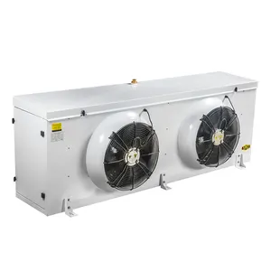 -25 gradi cella frigorifera 220V 60Hz 3 fasi filippine refrigerazione refrigeratore evaporatore d'aria