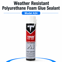 Mastic polyuréthane teinté TIAN JIAN A24 300ml, séchage rapide, adhésif PU monocomposant pour la construction de portes et fenêtres
