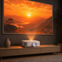 Vente flash - Projecteur vidéo DLP 3D portable Opomta Br400hd - 1080p Full HD - 4000 lumens ANSI - Blanc - Cinéma maison - Éducation - Entreprise