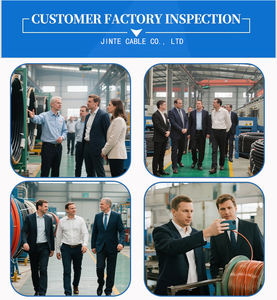 <span class=keywords><strong>สาย</strong></span><span class=keywords><strong>ไฟ</strong></span>ฟ้าแรงดันต่ำแบบหลายแกน หุ้มฉนวนพีวีซีทน<span class=keywords><strong>ไฟ</strong></span> สำหรับงานอุตสาหกรรม  แกนทองแดงปราศจากออกซิเจน - Product Image 5