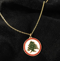 Collier personnalisé en cèdre libanais, émail imperméable, pendentif drapeau du Liban, colliers patriotiques, bijoux en acier inoxydable 316L
