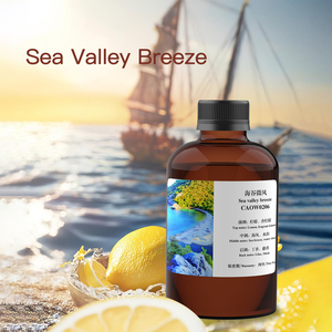 Sea Valley Breeze Scent Air Oils Comercial Aroma Difusor Notas <span class=keywords><strong>de</strong></span> agua Perfume Fragancia Aceites para máquina <span class=keywords><strong>de</strong></span> fragancia - Product Image 2