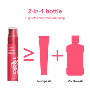 Bán buôn OEM cao cấp tùy biến hương vị tốt nhất bán nhà di động sử dụng bạc hà trái cây kem đánh răng nhãn hiệu riêng - Product Image 4