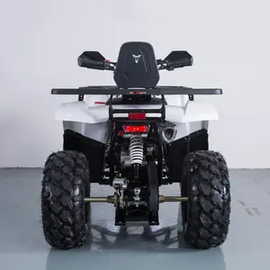 Tao Động Cơ BRAVES ATV 200cc Quad ATV 4X4 Với EPA ECE
