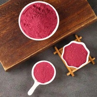 Vente à chaud de poudre de racine de betterave biologique produit OEM super alimentaire pour desserts et boissons