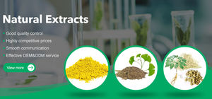 하이 퀄리티 <span class=keywords><strong>Phellodendron</strong></span> Amurense 추출물 97% 베르베린 염산 분말 베르베린 Hcl - Product Image 3