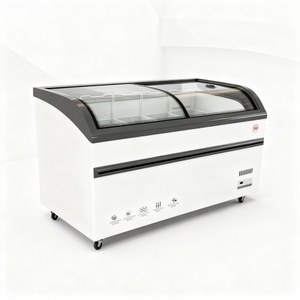 Réfrigérateur-congélateur commercial avec logo personnalisé, refroidissement direct intégré, compresseur, pour la présentation de la crème glacée - Product Image 4