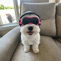 Casco y Gafas de Motocicleta para Mascotas, Perros Pequeños y Gatos, Gorra de Seguridad con Lentes para Paseos al Aire Libre