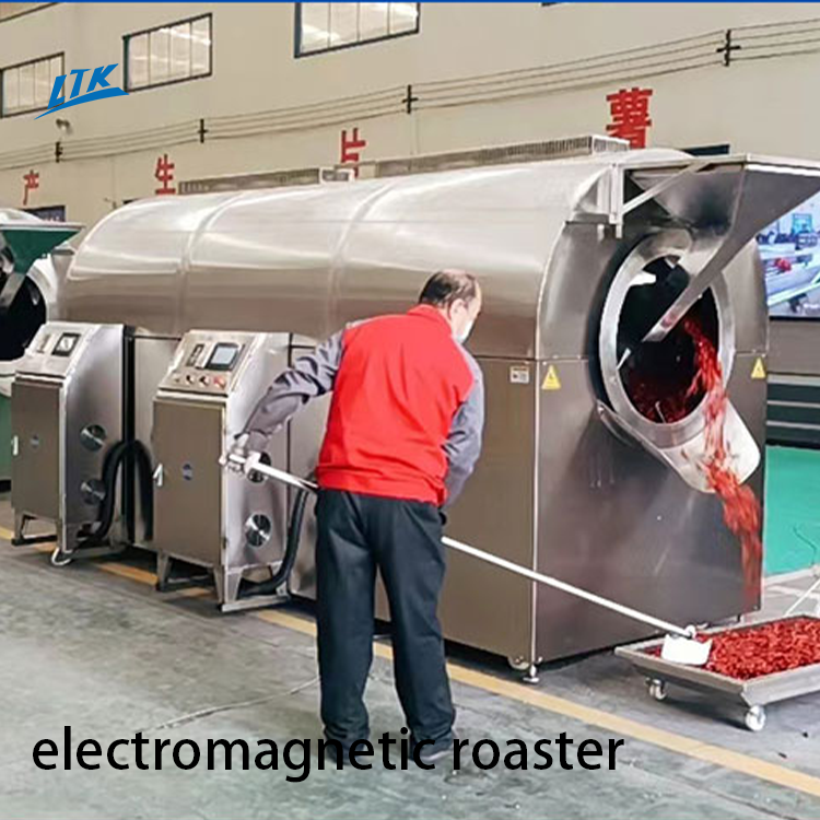 Electric and Gas Type Sunflower Seeds