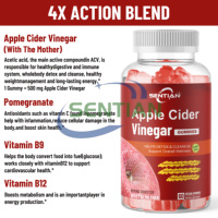 Gummies au vinaigre de cidre de pomme sans sucre, marque privée OEM, complément alimentaire