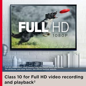 CF <span class=keywords><strong>SD</strong></span> 256GB Ultra per UHS-I Classe 4 C10 U1 Full HD A1 Plastica Nera Compatibile con più dispositivi SDSQUAC-256G-GN6MA [Nuova Versione] - Product Image 5