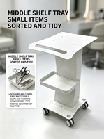 Chariot de rangement compact pour salon, à 2 niveaux, chariot roulant flexible pour petit studio et services de beauté mobiles
