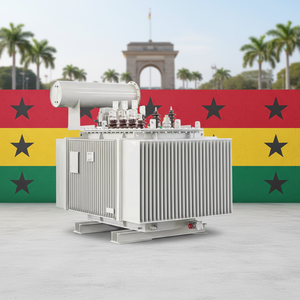 Afrika SCB10 66kV naar 11kV trafo, oliegevulde, 15MVA |   Lage verliezen |   Ghana's transmissielijnnetwerk - Product Image 3