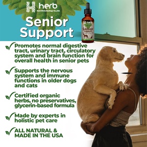 Suplemento Líquido de Cardo Mariano 100% Natural de Marca Privada OEM/ODM para Perros, Desintoxicación Hepática y Apoyo para Perros Mayores - Product Image 2