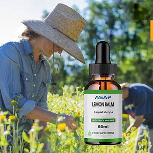 Extrait liquide de mélisse biologique de qualité alimentaire en gros, OEM/ODM, marque privée, pour le soutien du système calmant, sans alcool, en bouteille/tambour - Product Image 2