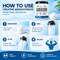 Créatine monohydratée en poudre pour adultes, croissance musculaire, gestion de l'énergie, pré-entraînement, différentes saveurs, 500 g en vrac, OEM HALAL