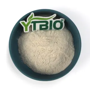 YTBIO Pincredit Natural Orgânico Pumpki Extrato De Semente Em Pó Proteína De Semente De Abóbora Certificado de orgânico